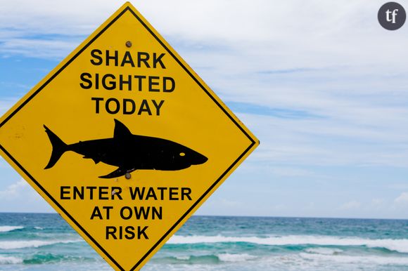 Sur une plage australienne, un panneau lit : "requin repéré aujourd'hui, baignade à vos risques et périls".