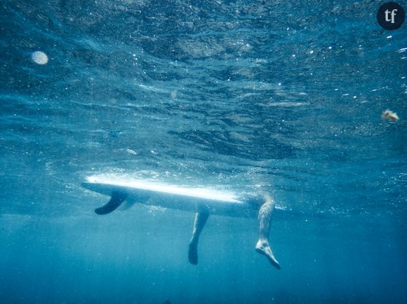 Elle a été mordue par un requin blanc, elle veut les sauver