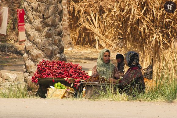 En Egypte, un nouveau projet de loi scandaleux s'attaque aux droits des femmes.