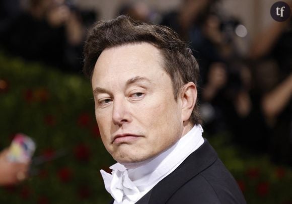 Elon Musk au Met Gala, mai 2022.