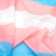 Le drapeau transgenre