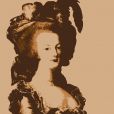 "Faire de Marie-Antoinette une pionnière du féminisme ce serait ridicule" affirme Antoine de Baecque qui considère tout de même celle-ci comme "une jeune femme moderne"