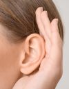     L'    exposition à un niveau moyen de bruit continu supérieur à 80 dB(A), 8 heures/jour, ou l'exposition à des bruits impulsionnels même de courte durée (&lt; 2 secondes), suffisent pour provoquer des pertes auditives        