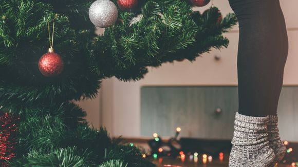 Naturel ou artificiel : quel est le sapin le plus écolo ?