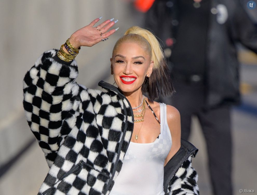 Gwen Stefani a également été accusée de se réapproprier la culture amérindienne.