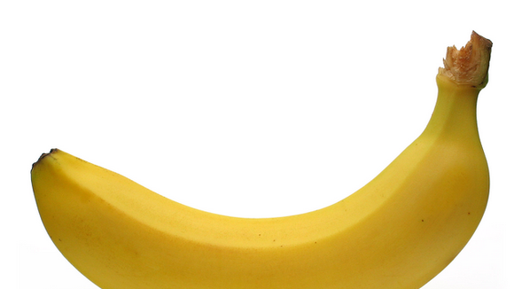 Anatomie du pénis : comment fonctionne l'érection