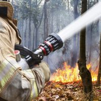 Le sperme pourrait sauver votre maison d'un incendie