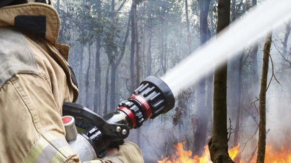 Le sperme pourrait sauver votre maison d'un incendie