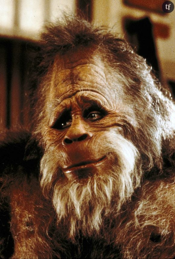 Bigfoot dans "Harry et les Hendersons"