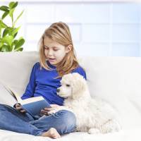 Les chiens, aides précieuses des enfants qui ont des difficultés avec la lecture