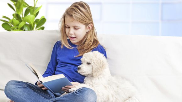 Les chiens, aides précieuses des enfants qui ont des difficultés avec la lecture