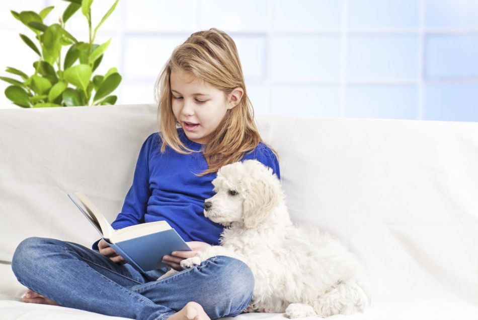 Les chiens aideraient les enfants qui ont des difficultés avec la lecture