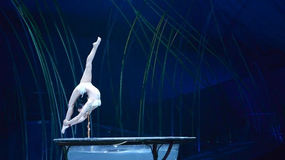 Cirque du soleil : Amaluna, j'y vais avec les enfants ou pas ?