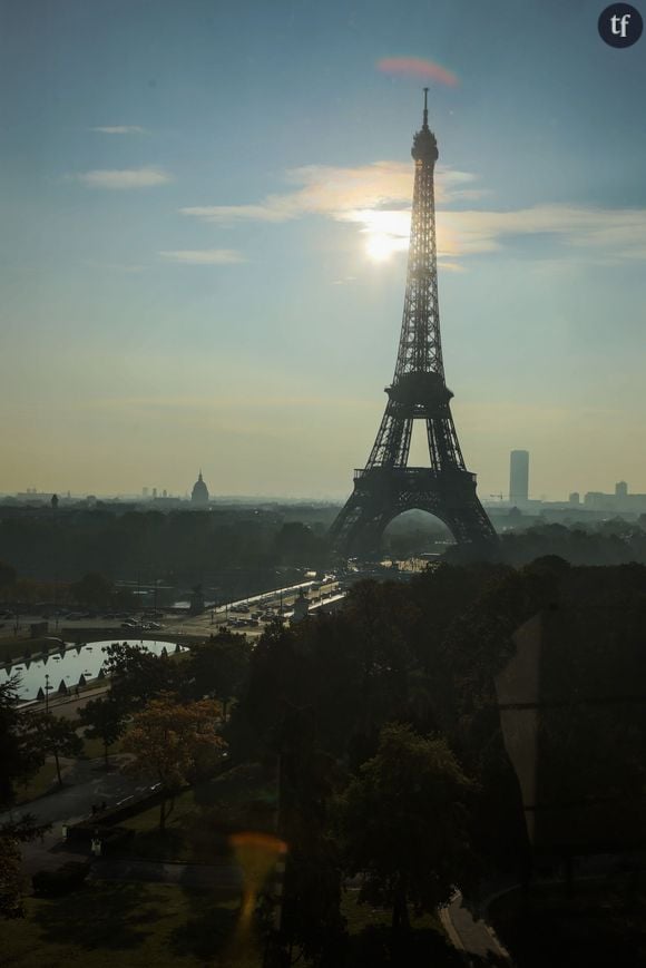 Illustration Tour Eiffel - Matinée presse à l'occasion de la réouverture du Musée de l'Homme à Paris le 14 octobre 2015 