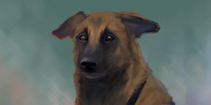 En Famille Mort De Pupuce Le Chien Des Kervelec Terrafemina