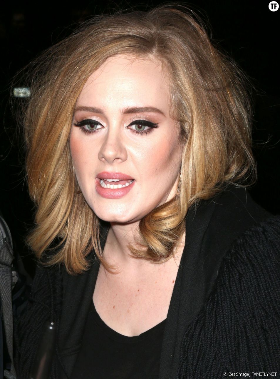 La chanteuse Adele