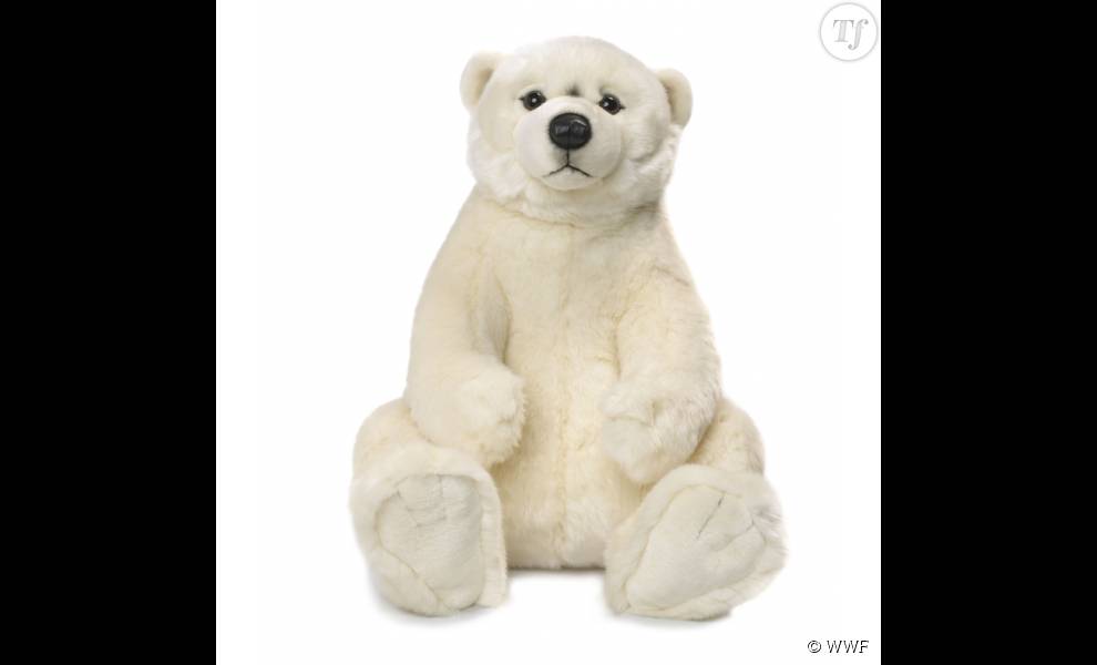    Le grand ours polaire, WWF, 79,90 euros   
  