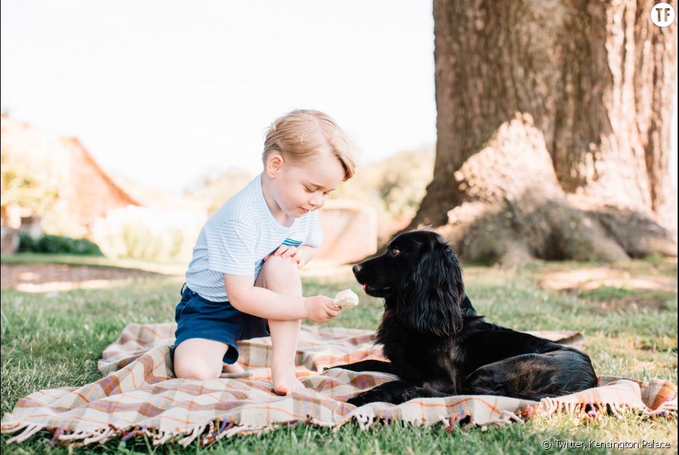 Le Prince George photographié pour son 3ème anniversaire ce vendredi 22 juillet