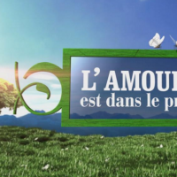 L'amour est dans le pré 2016 : les quatre agriculteurs en speed-dating ce lundi 1er août