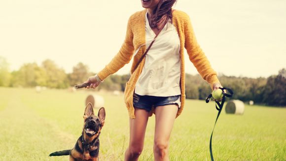 Avoir un chien permettrait de vivre plus longtemps