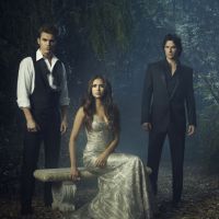 Vampire Diaries saison 8 : Elena et Stefan en couple dans le final ? (spoilers)