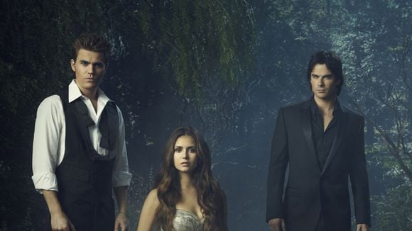 Vampire Diaries saison 8 : Elena et Stefan en couple dans le final ? (spoilers)