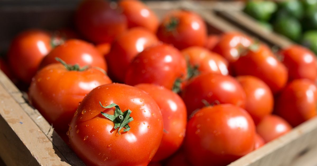 Pourquoi vous ne devriez jamais mettre vos tomates au frigo Terrafemina