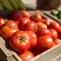 Pourquoi vous ne devriez jamais mettre vos tomates au frigo