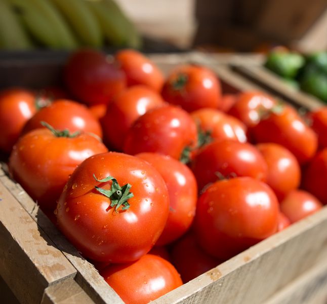 Pourquoi Vous Ne Devriez Jamais Mettre Vos Tomates Au Frigo Terrafemina