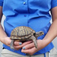 Cette gardienne de zoo fait les meilleures photos de grossesse du monde