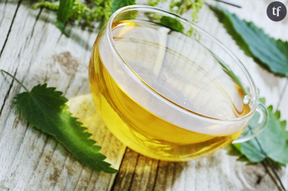 Le thé à l'ortie : un remède miracle pour votre santé et vos cheveux