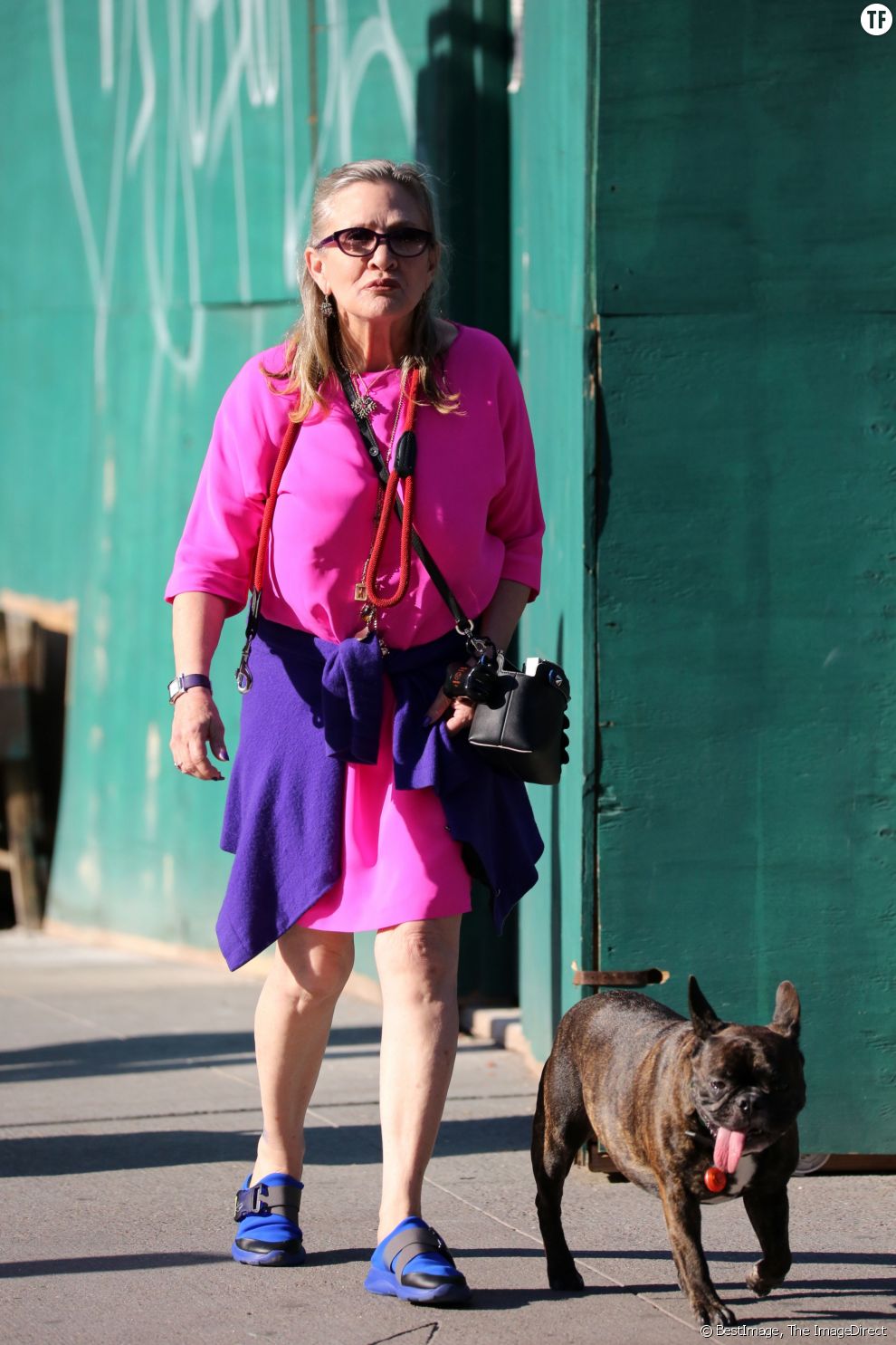 Carrie Fisher promène son chien dans les rues de New York en août dernier.