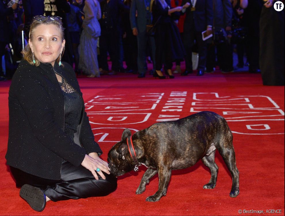 Carrie Fisher et son chien Gary à la première de &quot;Star Wars : Le réveil de la force&quot; à Londres le 16 décembre 2015