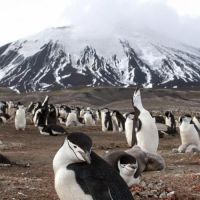 Planète animale : revoir le documentaire événement en replay sur France 2/Le Pluzz