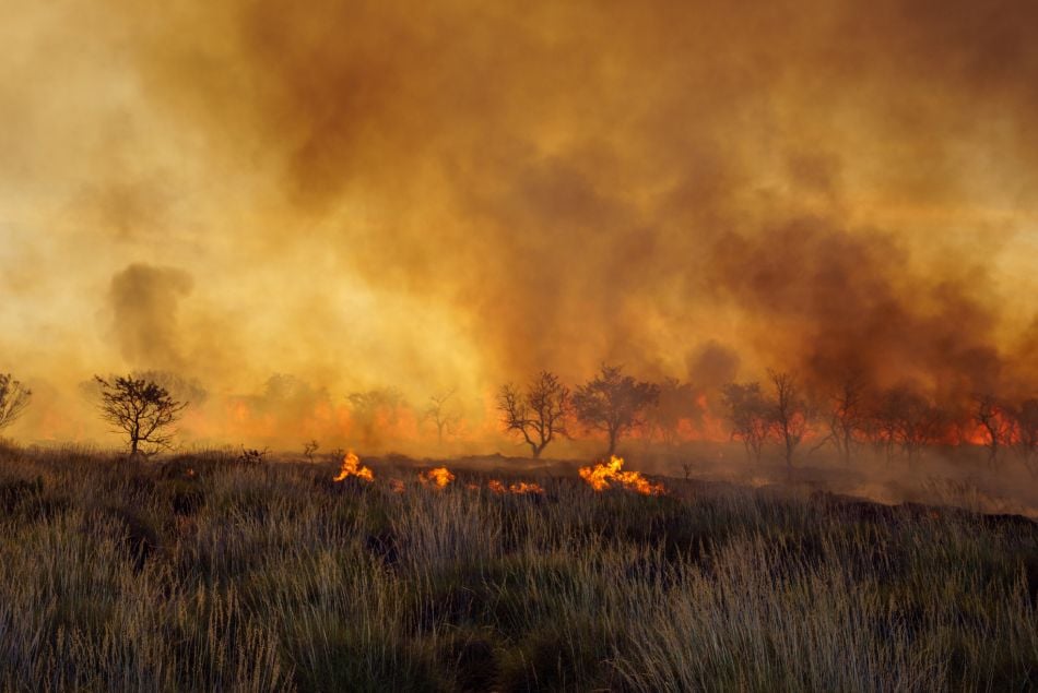 Les paysages dévastés par les flammes de l'Australie.