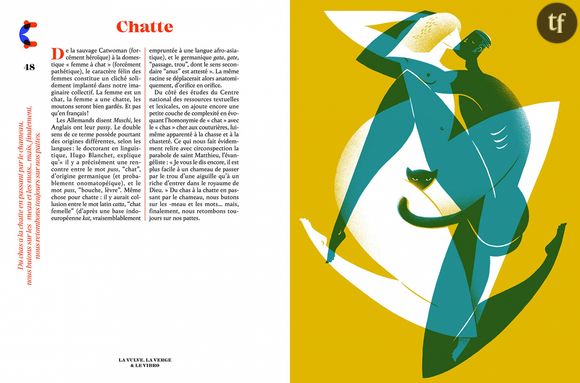 "La Vulve, la Verge et le Vibro", de Maïa Mazaurette, illustrations d'Alex Viougeas.