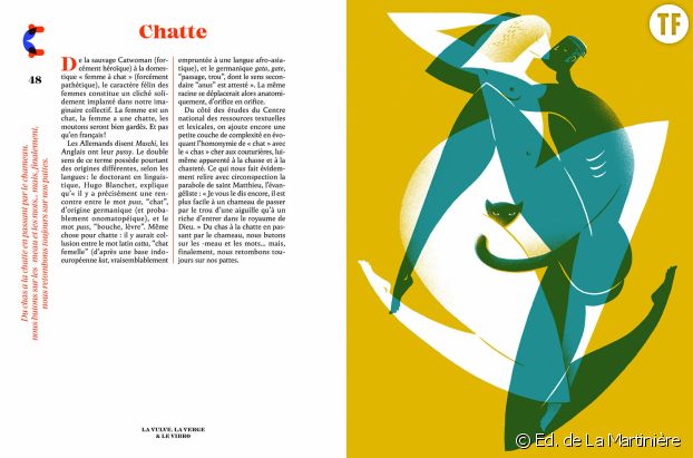 "La Vulve, la Verge et le Vibro", de Maïa Mazaurette, illustrations d'Alex Viougeas.