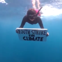 La jeune activiste écolo Shaama Sandooyea a organisé la première manifestation sous-marine