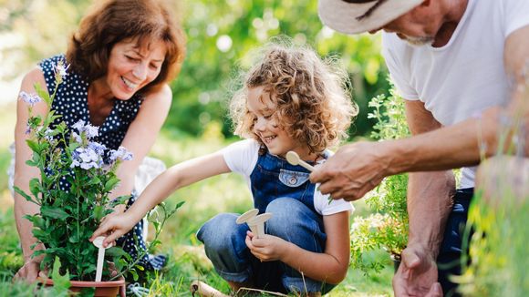 Les grands-parents peuvent-ils garder les enfants pendant le "confinement" ?