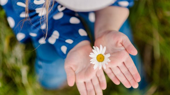 5 petites expériences 100 % nature pour occuper intelligemment les enfants