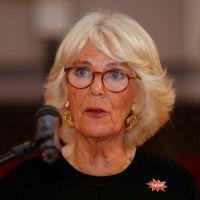 Le "discours de sa vie" : Camilla Parker Bowles alerte sur les violences faites aux femmes