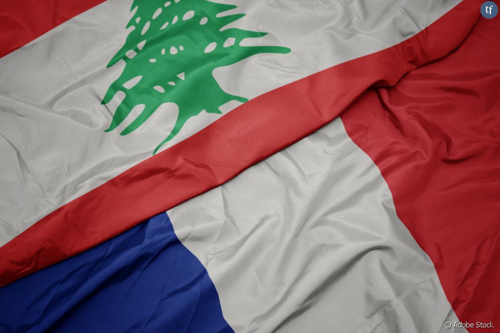   Le 7 décembre, la présidence du groupe d&#039;étude consacré à l&#039;amitié entre la France et le Liban lui a ainsi été confiée  
     