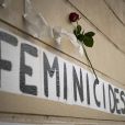  L'an dernier encore, Anne-Cécile Mailfert , présidente de la Fondation des Femmes, s'alarmait des chiffres des féminicides : "Il aurait fallu redoubler les efforts. Mettre plus de moyens. Nommer des ministres pour qui c'est important. En faire une priorité politique continue" 