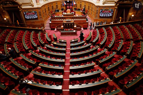 La commission de la culture, de l'éducation et de la communication du Sénat semble en tout cas ne pas considérer l'écriture inclusive comme "un moyen de faire progresser l'égalité femme-homme", observe Public Sénat.
A view of the assembly room at the Palais du Luxembourg, home of the French Senate on May 3, 2023 in Paris, France. Photo by Jean-Bernard Vernier/JBV News/ABACAPRES.COM