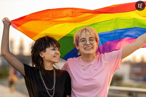 Ce drapeau aux couleurs violettes, noires et jaunes, c'est celui de la communauté non binaire. Une bannière qui vient également visibiliser la cause de la communauté LGBTQ.