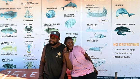 Dauphins, lézards, oiseaux, chauve-souris : aux îles Salomon, le trafic d'animaux est un fléau sans fin