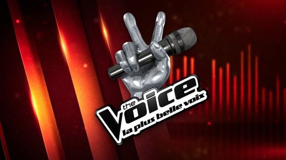 Gagnant The Voice 2015 : date de la finale, casting 2016