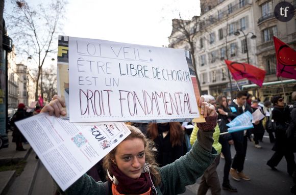 Manifestation le 17 janvier 2015 à Paris pour célébrer les 40 ans de la loi Veil sur la légalisation de l'avortement.