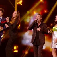 The Voice 2015 : Anne Sila, Lilian, David et Côme sont en finale (replay)