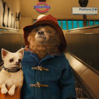 Paddington : l'ours en duffle-coat débarque en DVD